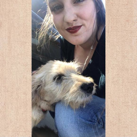 Meet your Posher, Samara - Picture 1 of 1